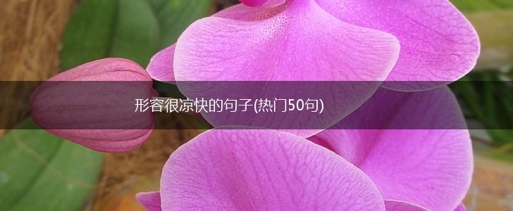 形容很凉快的句子(热门50句),第1张