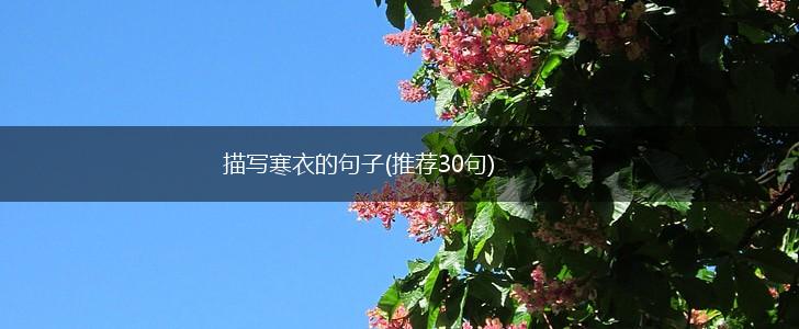 描写寒衣的句子(推荐30句),第1张