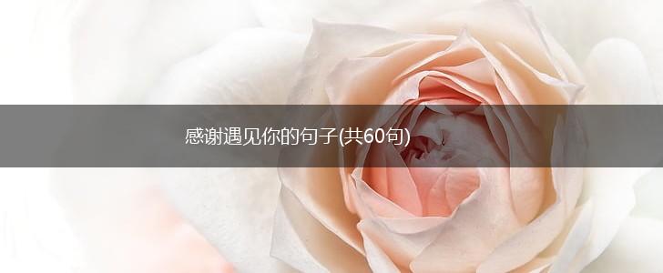 感谢遇见你的句子(共60句),第1张