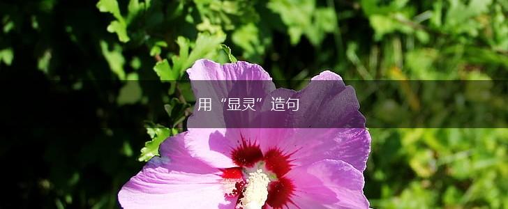 用“显灵”造句,第1张