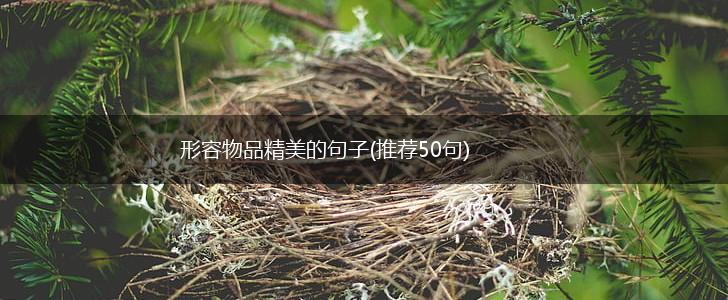 形容物品精美的句子(推荐50句),第1张