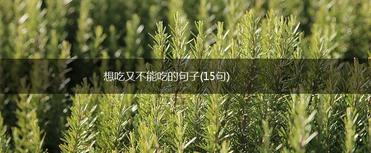 想吃又不能吃的句子(15句),第1张