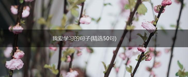 我爱学习的句子(精选50句),第1张