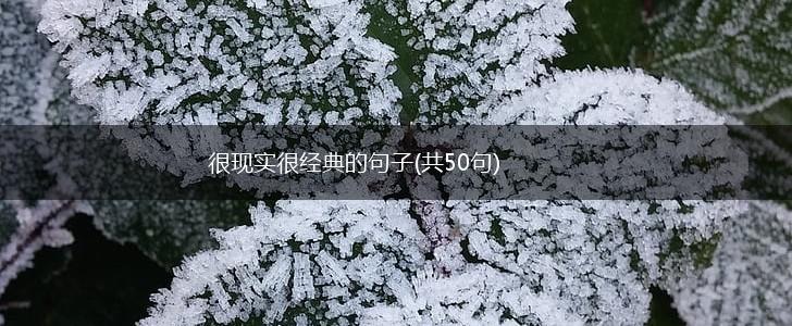 很现实很经典的句子(共50句),第1张