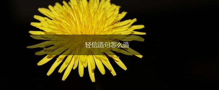 轻信造句怎么造,第1张