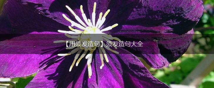 【用须发造句】须发造句大全,第1张