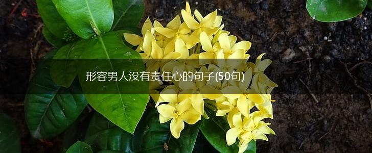 形容男人没有责任心的句子(50句),第1张