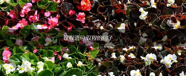 议程造句,议程的句子,第1张