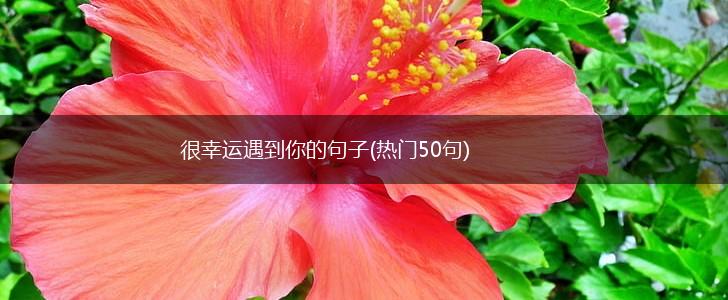 很幸运遇到你的句子(热门50句),第1张