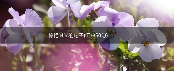 惊艳时光的句子(汇总50句),第1张