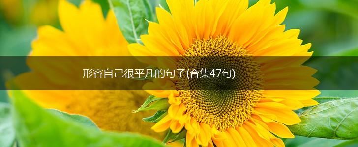 形容自己很平凡的句子(合集47句),第1张