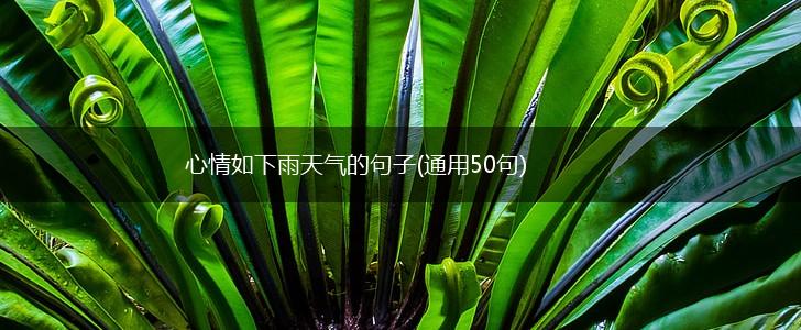 心情如下雨天气的句子(通用50句),第1张