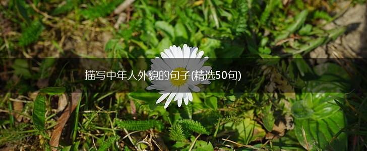 描写中年人外貌的句子(精选50句),第1张