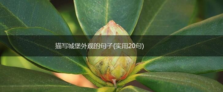 描写城堡外观的句子(实用20句),第1张