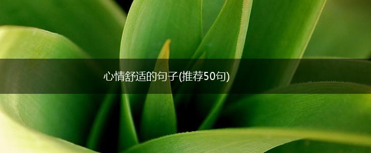 心情舒适的句子(推荐50句),第1张