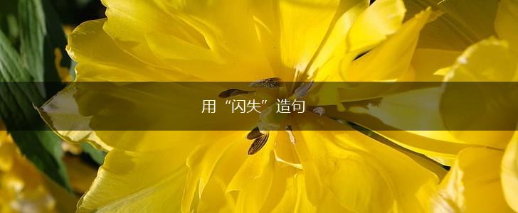 用“闪失”造句,第1张