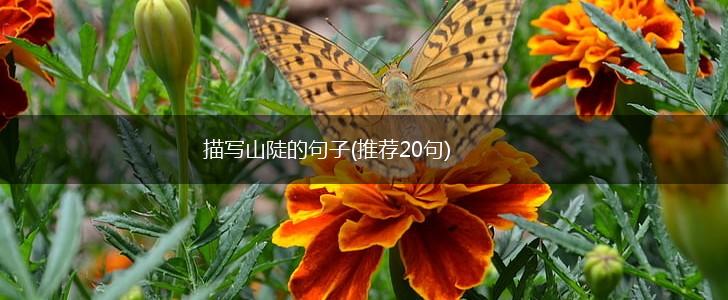 描写山陡的句子(推荐20句),第1张