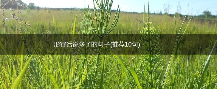 形容话说多了的句子(推荐10句),第1张
