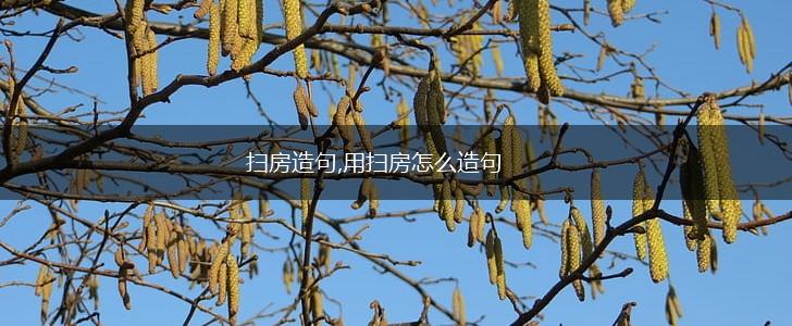 扫房造句,用扫房怎么造句,第1张