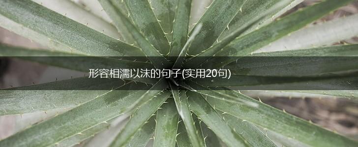 形容相濡以沫的句子(实用20句),第1张