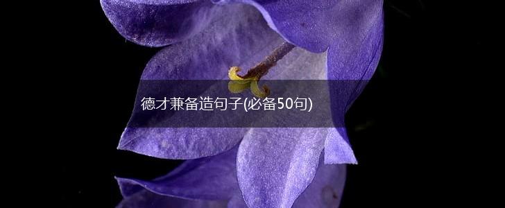 德才兼备造句子(必备50句),第1张
