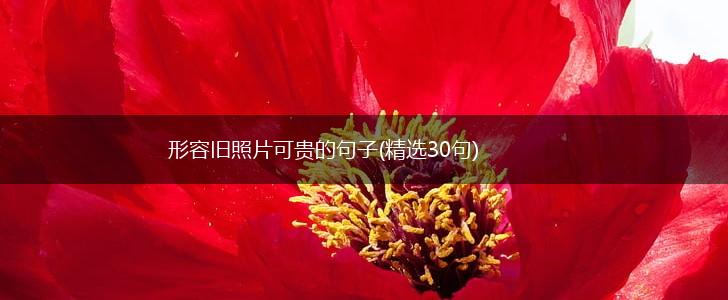 形容旧照片可贵的句子(精选30句),第1张