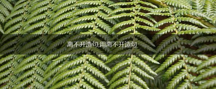 离不开造句,用离不开造句,第1张