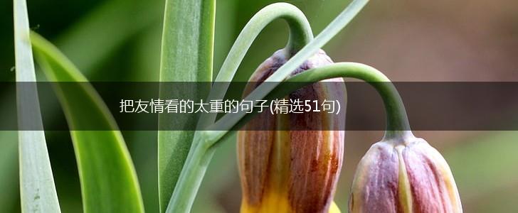 把友情看的太重的句子(精选51句),第1张