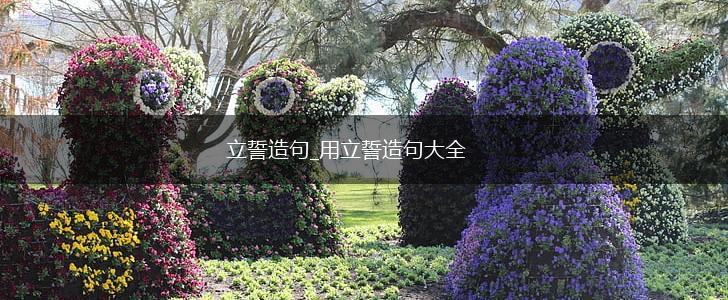 立誓造句_用立誓造句大全,第1张