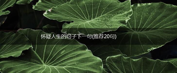 怀疑人生的句子下一句(推荐20句),第1张