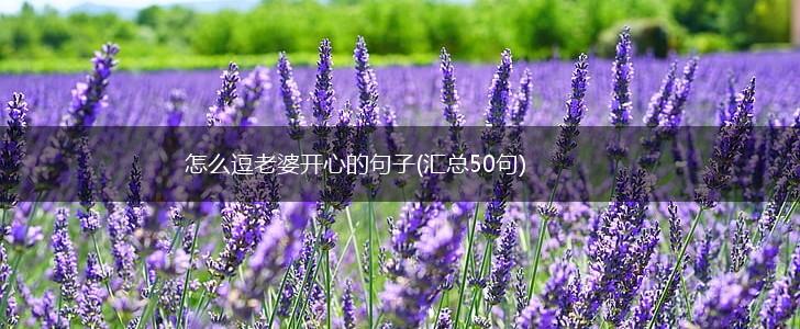 怎么逗老婆开心的句子(汇总50句),第1张