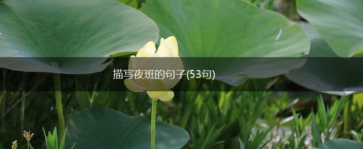 描写夜班的句子(53句),第1张