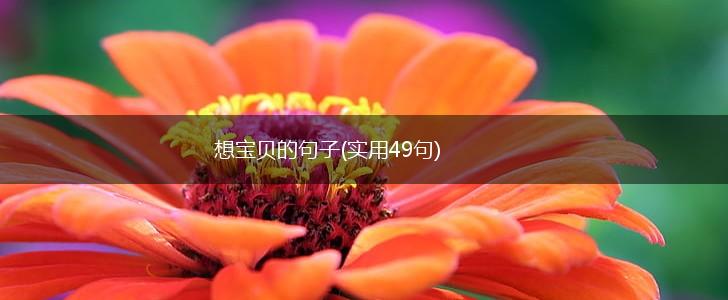 想宝贝的句子(实用49句),第1张