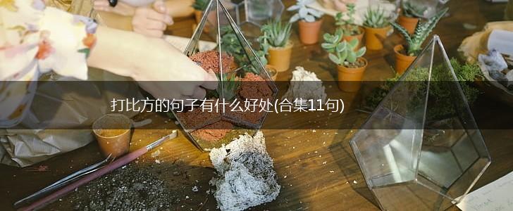 打比方的句子有什么好处(合集11句),第1张