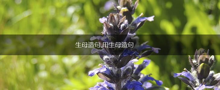 生母造句,用生母造句,第1张