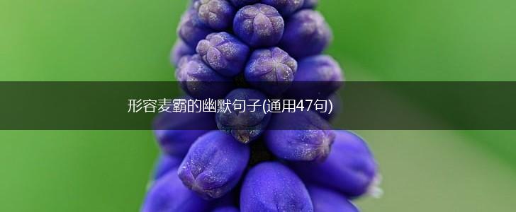 形容麦霸的幽默句子(通用47句),第1张