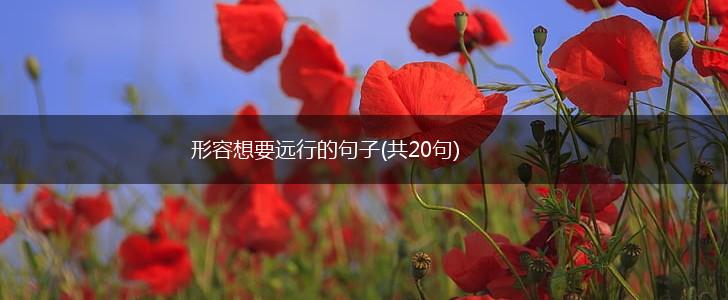 形容想要远行的句子(共20句),第1张