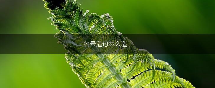 名号造句怎么造,第1张