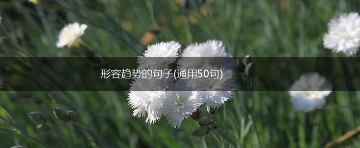 形容趋势的句子(通用50句),第1张