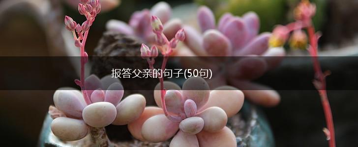 报答父亲的句子(50句),第1张