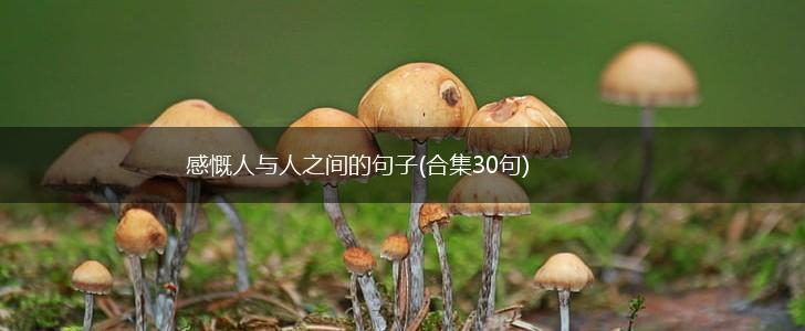 感慨人与人之间的句子(合集30句),第1张