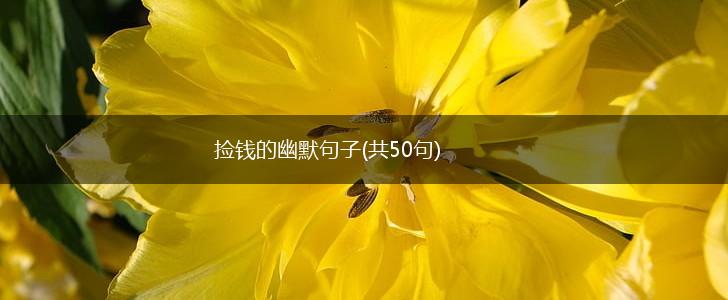 捡钱的幽默句子(共50句),第1张