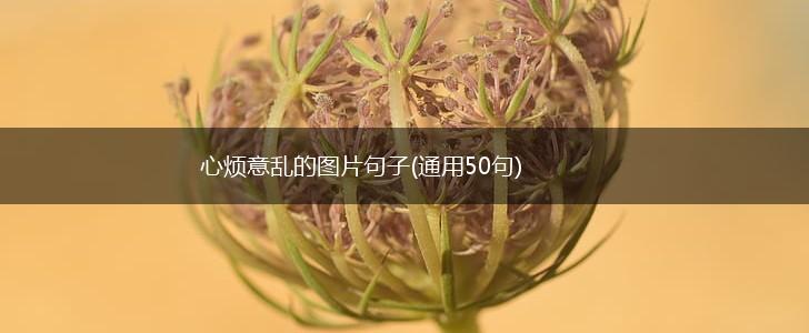 心烦意乱的图片句子(通用50句),第1张