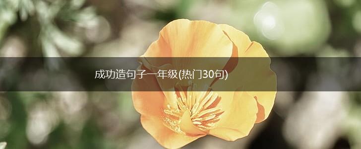 成功造句子一年级(热门30句),第1张