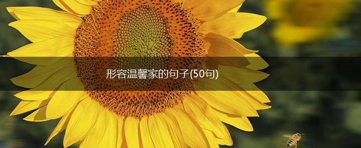 形容温馨家的句子(50句),第1张