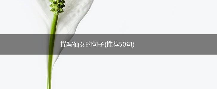 描写仙女的句子(推荐50句),第1张