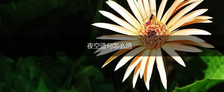 夜空造句怎么造,第1张