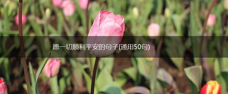 愿一切顺利平安的句子(通用50句),第1张