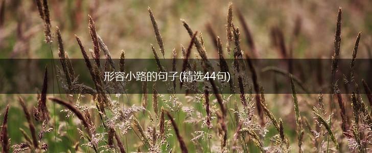 形容小路的句子(精选44句),第1张