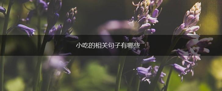 小吃的相关句子有哪些,第1张